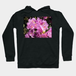 Pink Azalea Blossom Hoodie